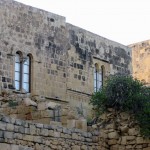 Arbusti spontanei fuoriescono dalle costruzioni di Gozo