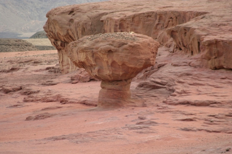 Il celebre fungo del deserto del Negev