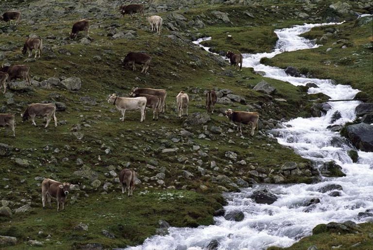 Come si presenta la valle subito fuori dal bosco delle cince