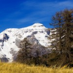 La cima innevata del Monte Cistella (Archivio Studio Fotografico Rds Domodossola)