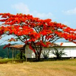 I colori di un panorama del Belize