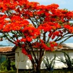 I colori di un panorama del Belize