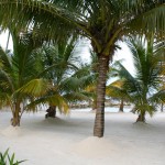 Quelle spiagge beliziane di cui il barone si è innamorato