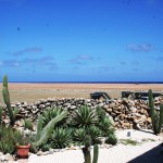 Il paesaggio selvaggio, caratteristica di Aruba