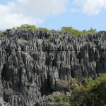 Tsinghi Grigi, nel Parco dell'Ankarana