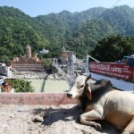 Belvedere su Rishikesh