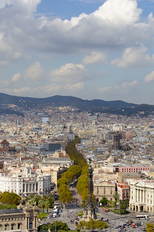 Il serpente alberato, La Rambla, nel centro di Barcellona