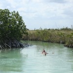 Nel canale lagunare di Sian Ka'an scavato dai Maya