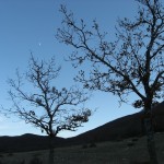 La natura del parco Sirente-Velino