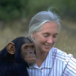 Primo piano di Jane Goodall con un piccolo gorilla