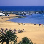 Caleta de Fuste, spiaggia attrezzata fra le palme