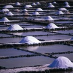 Visita alle saline del Carmen