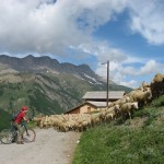 Incontri ordinari durante un'uscita in mountain-bike