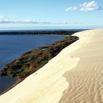 Neringa dune sulla costa