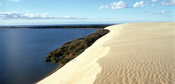 Neringa dune sulla costa