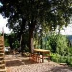 Sulle colline senesi