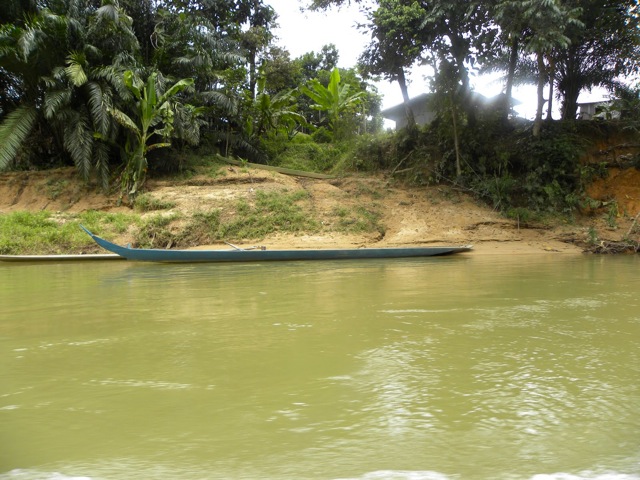 Lungo le rive del lago Batang Ai