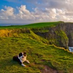 Contea di Clare - Cliffs of Moher5