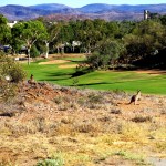 Alice Springs G.C. Kangaroos all'ottava buca