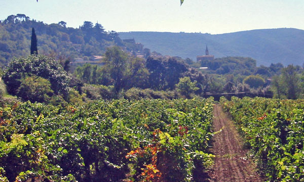 La vista da Canorgue