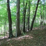 A nord la pianura pannonica, a sud freschi boschi di collina