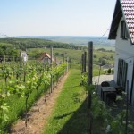 Agriturismi con vista sulla campagna ungherese