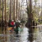 Okefenokee, Paddling middle fork run