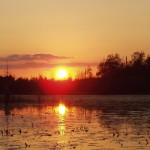 Tramonto a Okefenokee