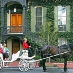 Savannah, giro in carrozza