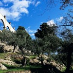 Le montagne intorno ai Bagni di Pisa