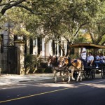 Charleston Carriage Tour