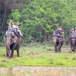 Parco di Chitwan