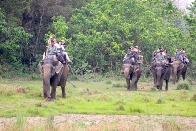 Parco di Chitwan