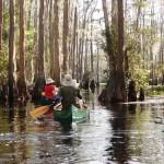 Okefenokee