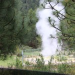 Parco nazionale de Los Azufres, un geyser naturale