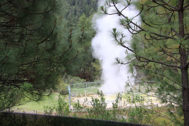 Parco nazionale de Los Azufres, un geyser naturale