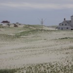 Le dune di Province Town