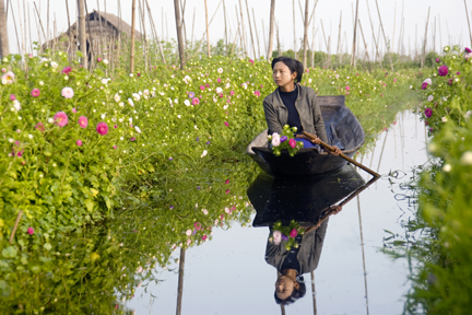Donne birmane che si spostano tra colture galleggianti