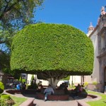 In Piazza della Costituzione a Santiago de Queretaro