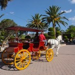 La carrozza che porta a spasso i turisti