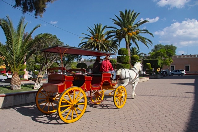 La carrozza che porta a spasso i turisti