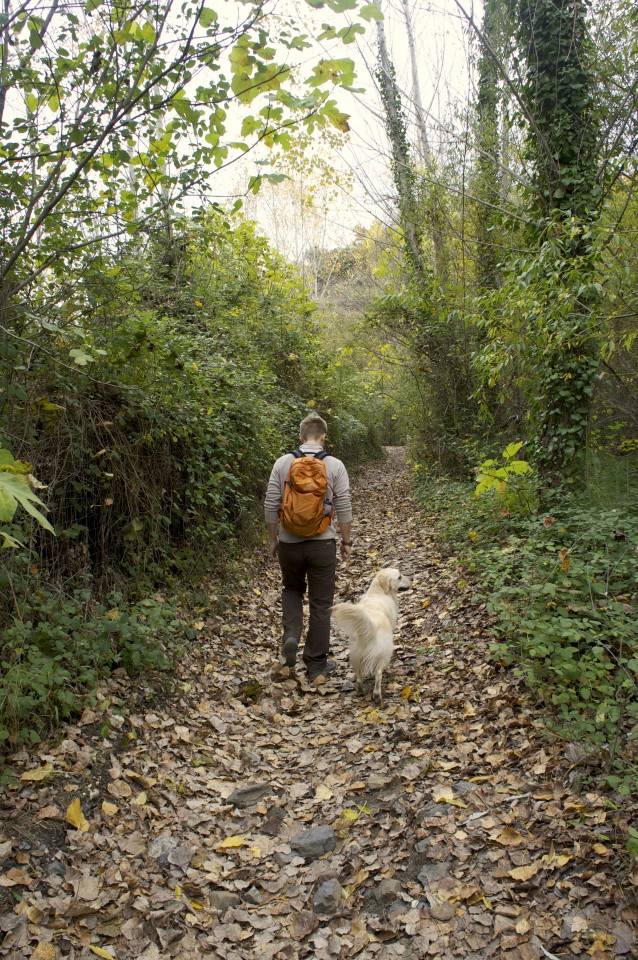 Camminando sui manti di foglie multicolore