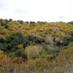 I bellissimi colori della Valle del Genal a Novembre