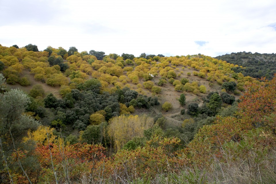 I bellissimi colori della Valle del Genal a Novembre