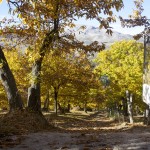 I sali e scendi della valle del Genal