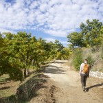 Sul sentiero circolare Parauta-Cartajima-Igualeja