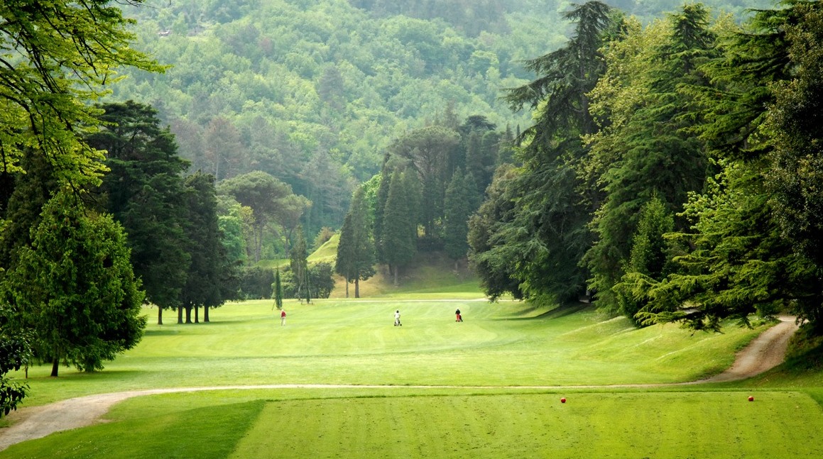 La vegetazione sul campo