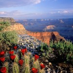 Grand Canyon National Park