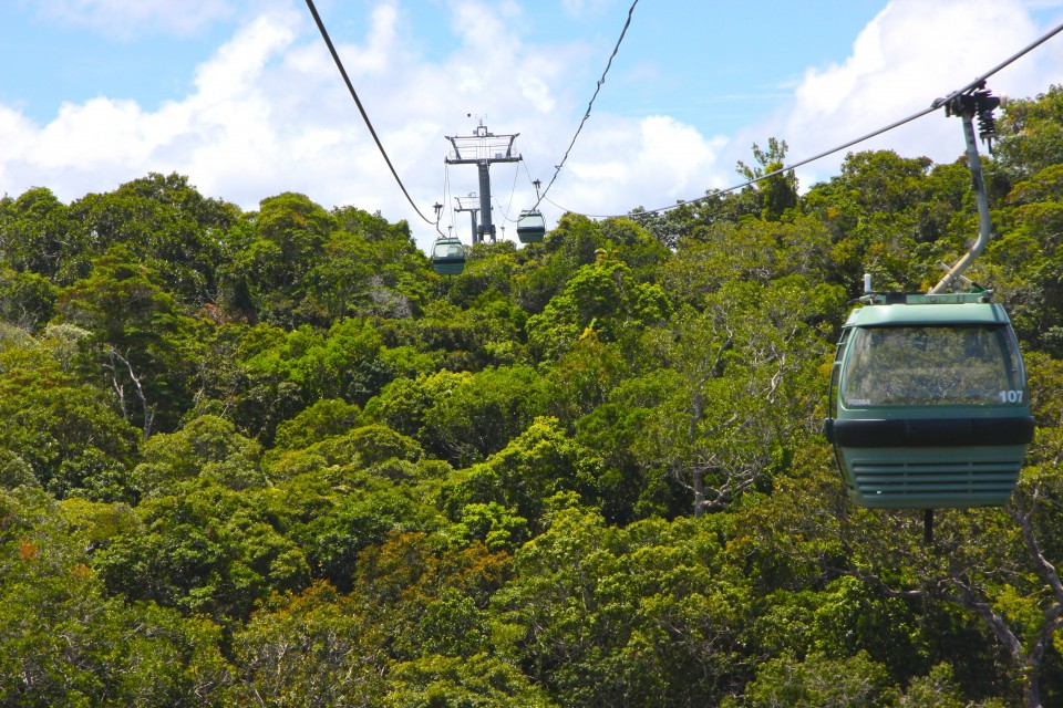 Lo Skyrail sorvola la foresta pluviale