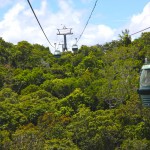 Lo Skyrail sorvola la foresta pluviale